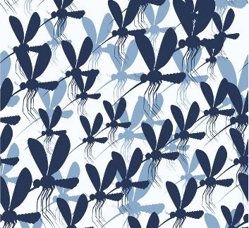 Mosquito, News Flash image