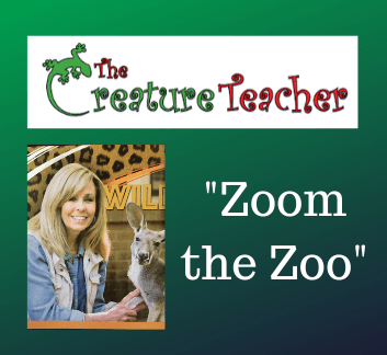 Creature Teacher Newsflash