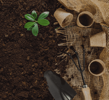 picture of garden tools