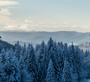 image of winter landscape