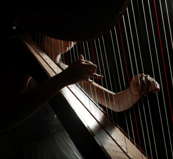 image of person playing the harp