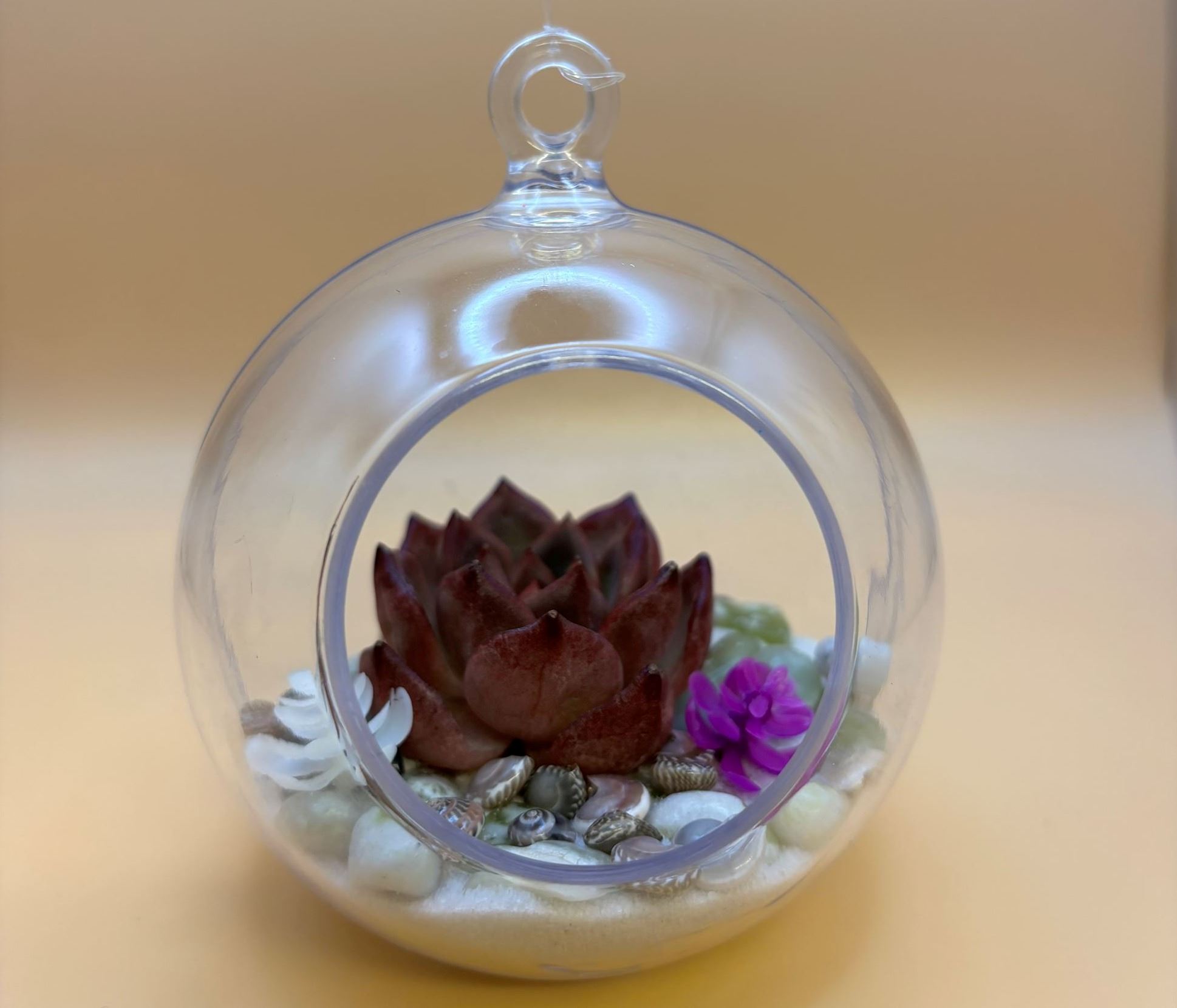 Glass terrarium shown with a small plant and rocks inside. A blurred beige background sits behind it