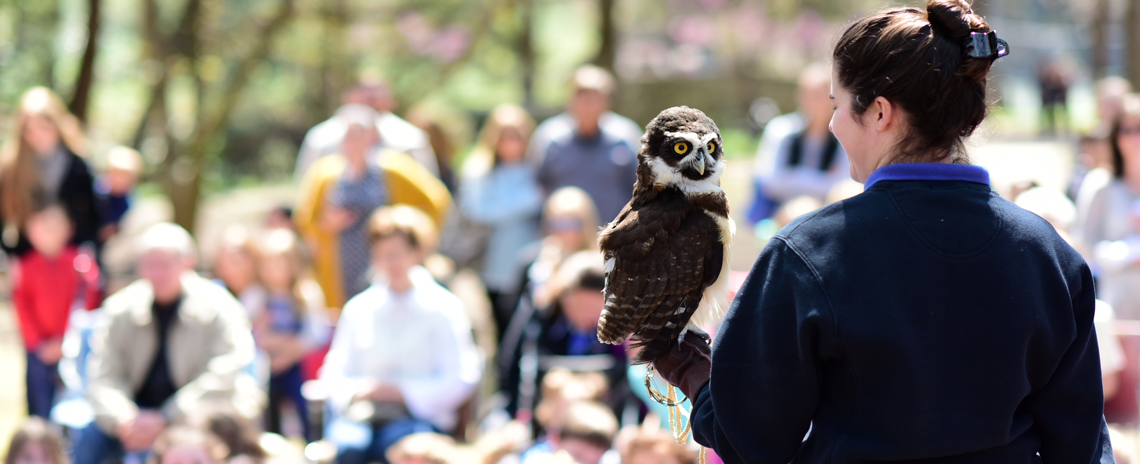 HPL Dallas Zoo Banner_2