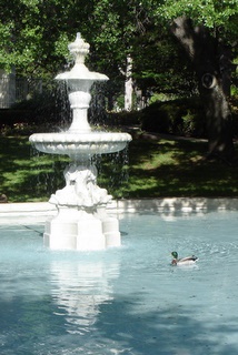 fountain
